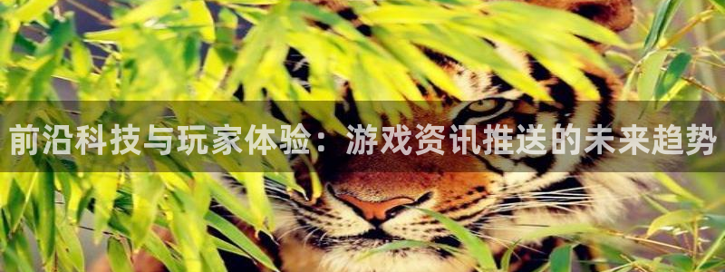 星欧娱乐Ii