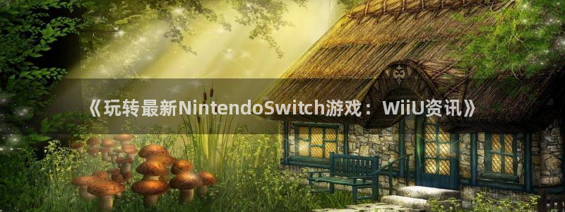 星欧娱乐官方登录网址：《玩转最新NintendoSwitch