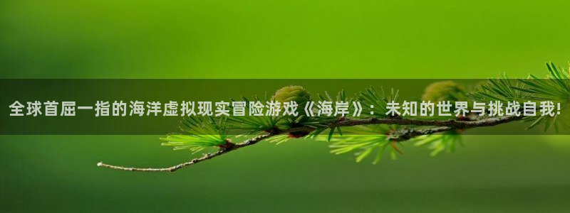 星欧娱乐2首页登录：全球首屈一指的海洋虚拟现实冒险游戏《海岸